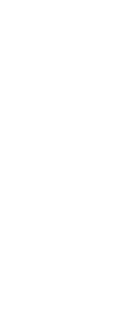 Shape Image