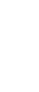 Shape Image