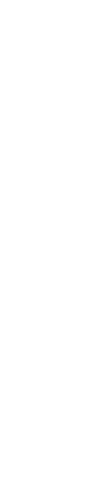 video_shape1_1