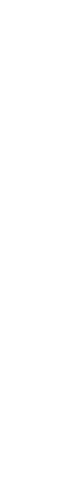 video_shape1_2